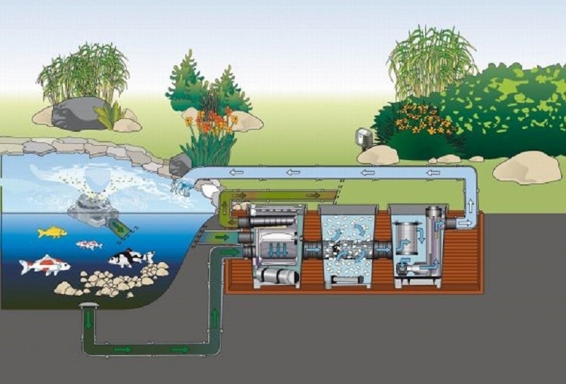 Một hệ thống lọc nước hồ cá đạt chuẩn cần có đủ 5 bộ phận (Nguồn: Internet)